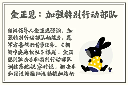 windows18+中国